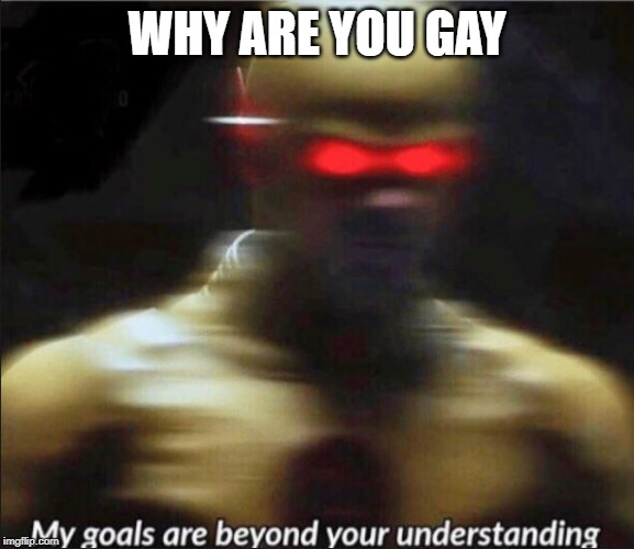 my goals are beyond your understanding | WHY ARE YOU GAY | image tagged in my goals are beyond your understanding | made w/ Imgflip meme maker