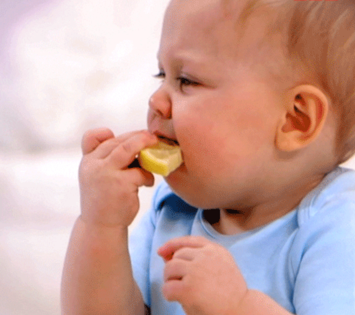 Baby eats lemon Blank Meme Template