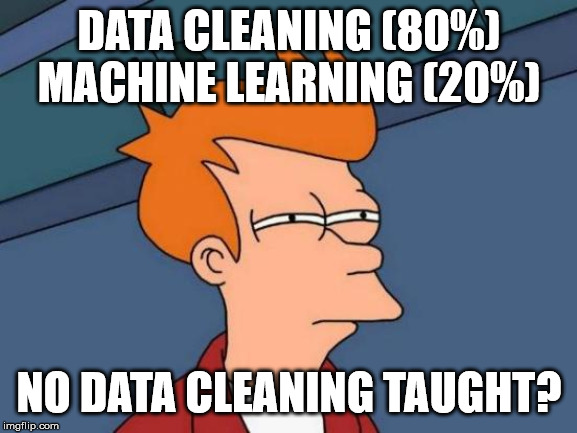Futurama Fry Meme |  DATA CLEANING (80%)
MACHINE LEARNING (20%); NO DATA CLEANING TAUGHT? | image tagged in memes,futurama fry | made w/ Imgflip meme maker