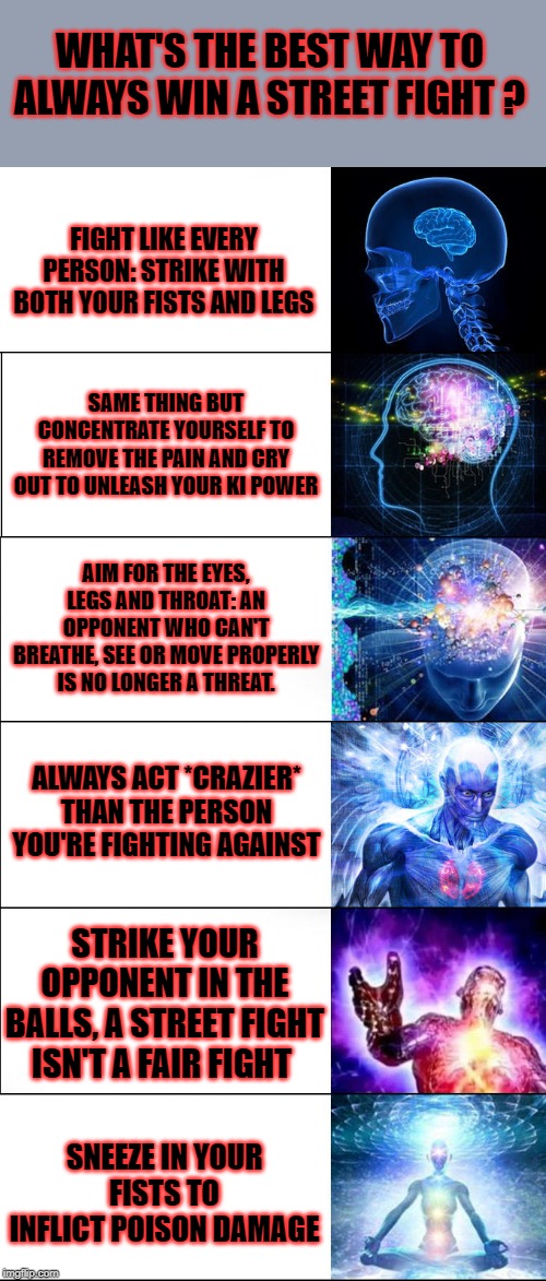 Expanding brain | WHAT'S THE BEST WAY TO ALWAYS WIN A STREET FIGHT ? FIGHT LIKE EVERY PERSON: STRIKE WITH BOTH YOUR FISTS AND LEGS; SAME THING BUT CONCENTRATE YOURSELF TO REMOVE THE PAIN AND CRY OUT TO UNLEASH YOUR KI POWER; AIM FOR THE EYES, LEGS AND THROAT: AN OPPONENT WHO CAN'T BREATHE, SEE OR MOVE PROPERLY IS NO LONGER A THREAT. ALWAYS ACT *CRAZIER* THAN THE PERSON YOU'RE FIGHTING AGAINST; STRIKE YOUR OPPONENT IN THE BALLS, A STREET FIGHT ISN'T A FAIR FIGHT; SNEEZE IN YOUR FISTS TO INFLICT POISON DAMAGE | image tagged in expanding brain | made w/ Imgflip meme maker