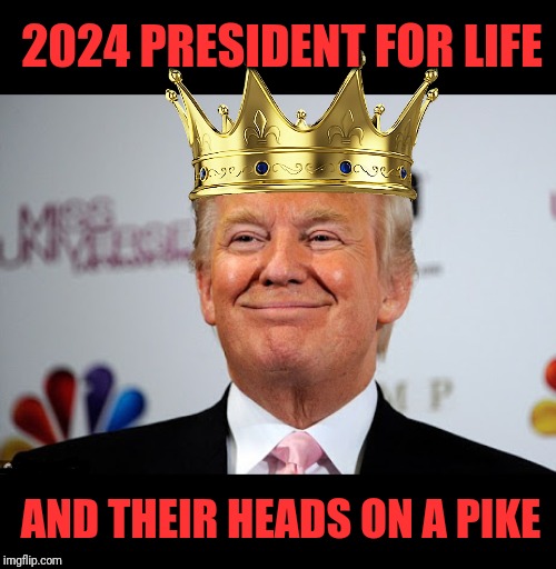I'm already working on possible 2024 campaign slogans | 2024 PRESIDENT FOR LIFE; AND THEIR HEADS ON A PIKE | image tagged in donald trump approves,drain the swamp | made w/ Imgflip meme maker