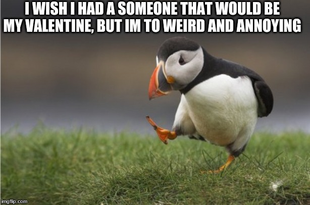 Purposefull Puffin | I WISH I HAD A SOMEONE THAT WOULD BE MY VALENTINE, BUT IM TO WEIRD AND ANNOYING | image tagged in purposefull puffin | made w/ Imgflip meme maker