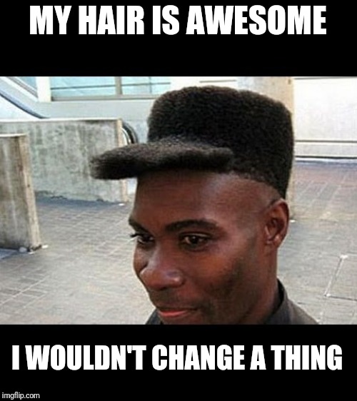 AfroHat | MY HAIR IS AWESOME I WOULDN'T CHANGE A THING | image tagged in afrohat | made w/ Imgflip meme maker