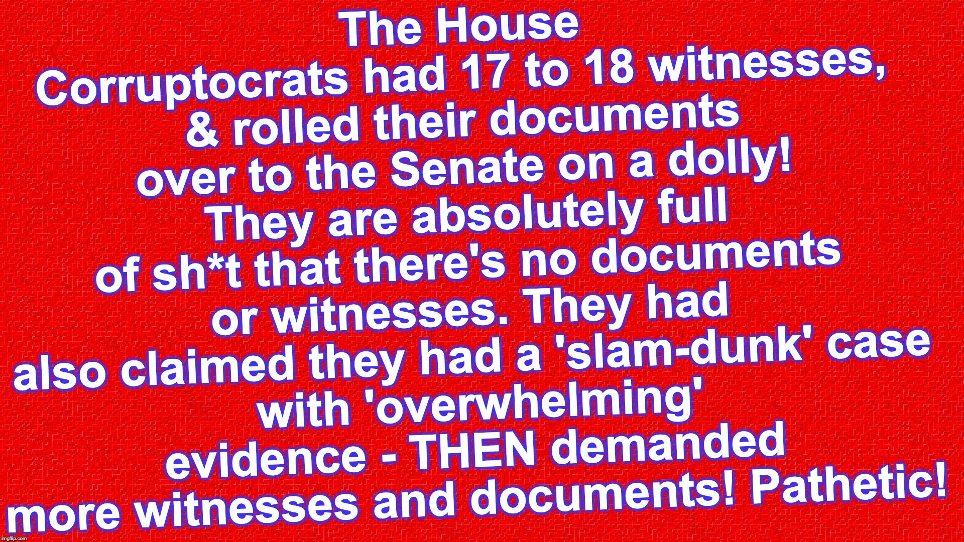 Rectangle Red Box | The House Corruptocrats had 17 to 18 witnesses, & rolled their documents over to the Senate on a dolly! They are absolutely full of sh*t that there's no documents or witnesses. They had also claimed they had a 'slam-dunk' case
 with 'overwhelming' evidence - THEN demanded more witnesses and documents! Pathetic! | image tagged in rectangle red box | made w/ Imgflip meme maker