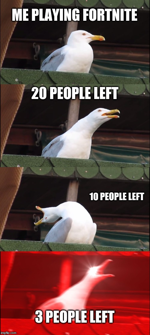 Inhaling Seagull Meme | ME PLAYING FORTNITE; 20 PEOPLE LEFT; 10 PEOPLE LEFT; 3 PEOPLE LEFT | image tagged in memes,inhaling seagull | made w/ Imgflip meme maker