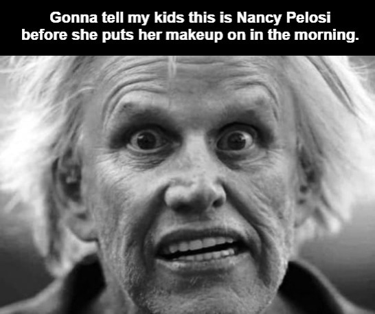 Gonna tell my kids this is Nancy Pelosi | image tagged in nancy pelosi wtf,nancy pelosi is crazy,good old nancy pelosi,pelosi explains,nancy pelosi pb sandwich,nancy pelosi | made w/ Imgflip meme maker