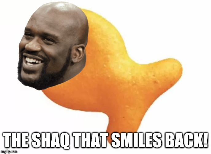 The purest form of art | THE SHAQ THAT SMILES BACK! | image tagged in goldfish,shaq | made w/ Imgflip meme maker
