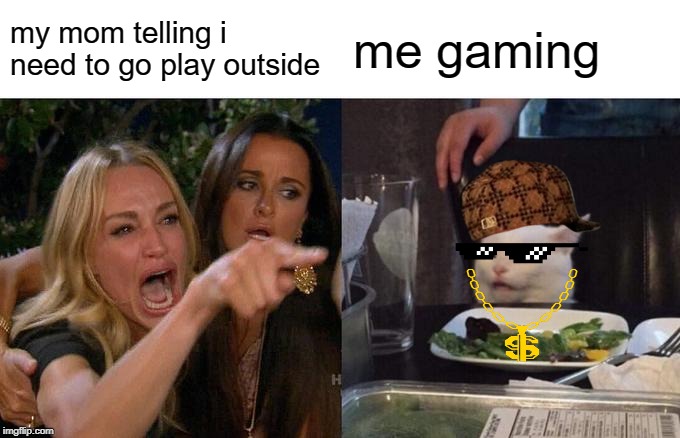 Woman Yelling At Cat | my mom telling i need to go play outside; me gaming | image tagged in memes,woman yelling at cat | made w/ Imgflip meme maker