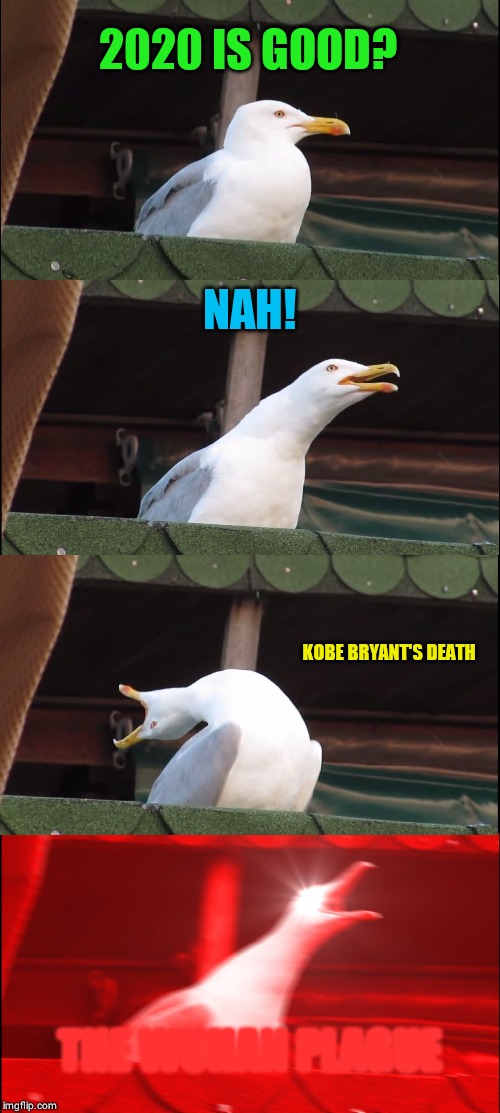 Inhaling Seagull | 2020 IS GOOD? NAH! KOBE BRYANT'S DEATH; THE WUHAN PLAGUE | image tagged in memes,inhaling seagull | made w/ Imgflip meme maker