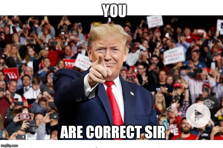 YOU ARE CORRECT SIR | made w/ Imgflip meme maker