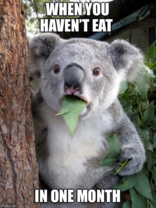 Surprised Koala | WHEN YOU HAVEN’T EAT; IN ONE MONTH | image tagged in memes,surprised koala | made w/ Imgflip meme maker