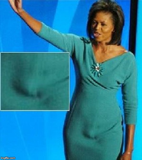 Michelle Obama Has a Penis | image tagged in michelle obama has a penis | made w/ Imgflip meme maker