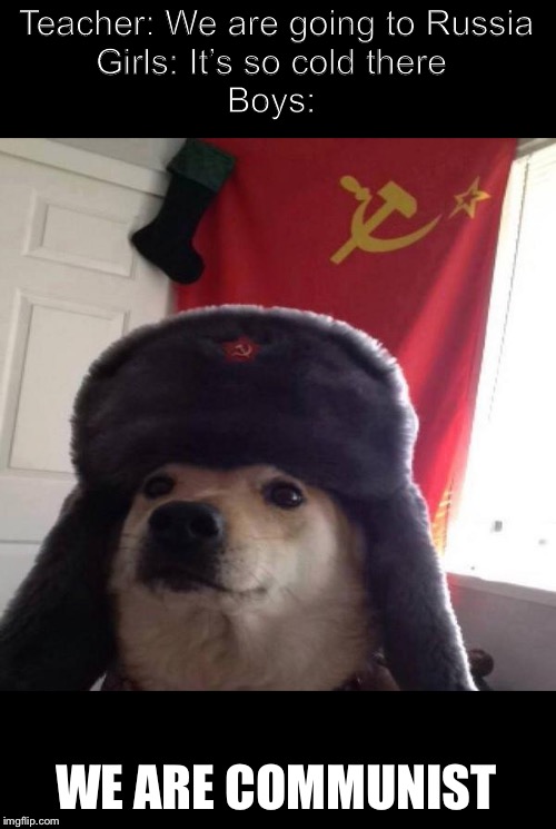 Russian Doge | Teacher: We are going to Russia
Girls: It’s so cold there 
Boys:; WE ARE COMMUNISTS | image tagged in russian doge | made w/ Imgflip meme maker