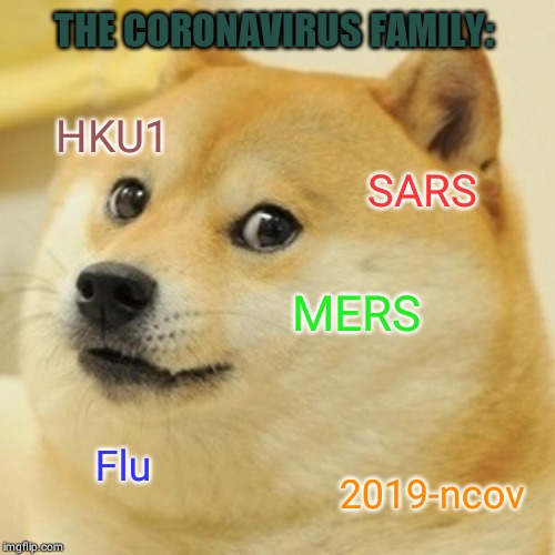 Doge | THE CORONAVIRUS FAMILY:; HKU1; SARS; MERS; Flu; 2019-ncov | image tagged in memes,doge | made w/ Imgflip meme maker