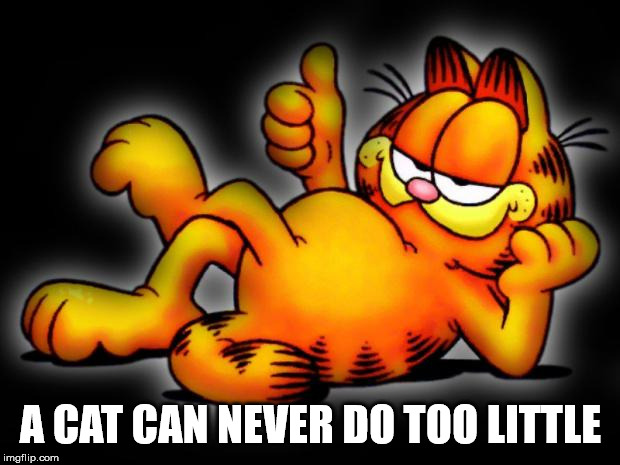 garfield thumbs up | A CAT CAN NEVER DO TOO LITTLE | image tagged in garfield thumbs up | made w/ Imgflip meme maker