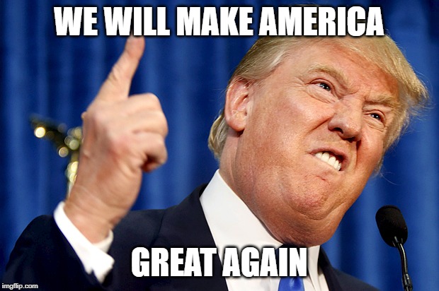 Donald Trump | WE WILL MAKE AMERICA; GREAT AGAIN | image tagged in donald trump | made w/ Imgflip meme maker