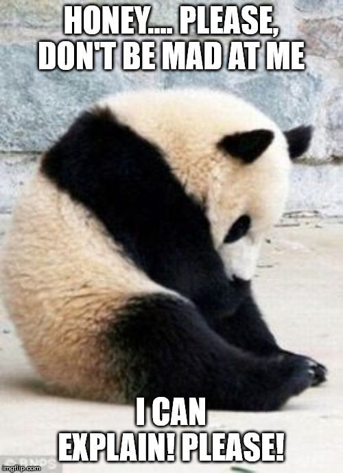 Sad Panda | HONEY.... PLEASE, DON'T BE MAD AT ME I CAN EXPLAIN! PLEASE! | image tagged in sad panda | made w/ Imgflip meme maker