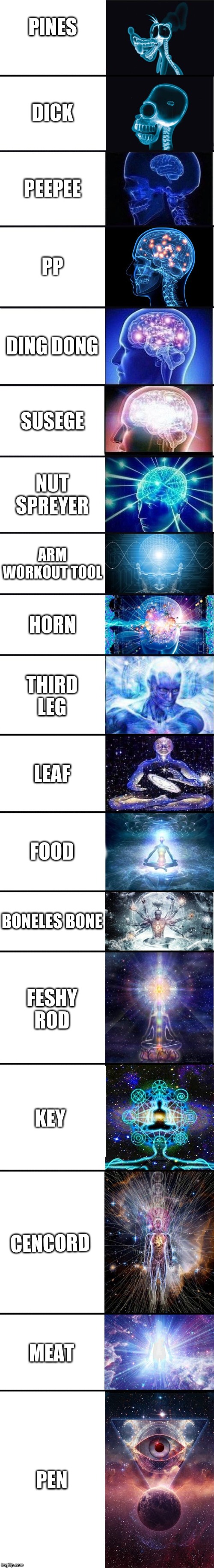 expanding brain: 9001 | PINES; DICK; PEEPEE; PP; DING DONG; SUSEGE; NUT SPREYER; ARM WORKOUT TOOL; HORN; THIRD LEG; LEAF; FOOD; BONELES BONE; FESHY ROD; KEY; CENCORD; MEAT; PEN | image tagged in expanding brain 9001 | made w/ Imgflip meme maker