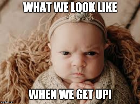 Mad Awakening! | WHAT WE LOOK LIKE; WHEN WE GET UP! | image tagged in angry baby | made w/ Imgflip meme maker