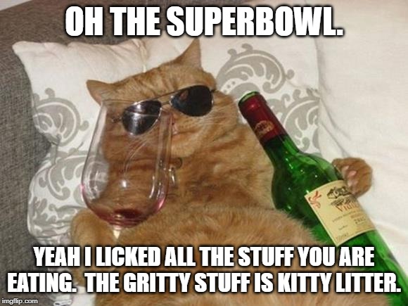 Funny Cat Birthday | OH THE SUPERBOWL. YEAH I LICKED ALL THE STUFF YOU ARE EATING.  THE GRITTY STUFF IS KITTY LITTER. | image tagged in funny cat birthday | made w/ Imgflip meme maker