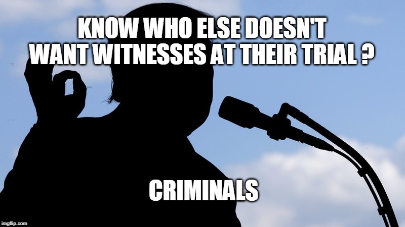 KNOW WHO ELSE DOESN'T WANT WITNESSES AT THEIR TRIAL ? CRIMINALS | image tagged in trump | made w/ Imgflip meme maker
