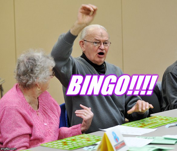 Bingo | BINGO!!!! | image tagged in bingo | made w/ Imgflip meme maker