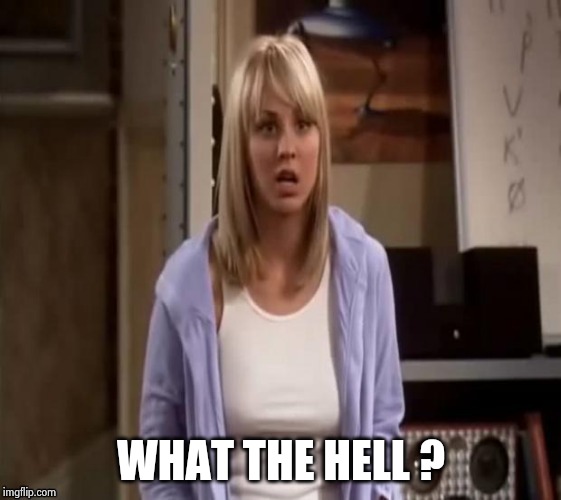 Confused Penny | WHAT THE HELL ? | image tagged in confused penny | made w/ Imgflip meme maker