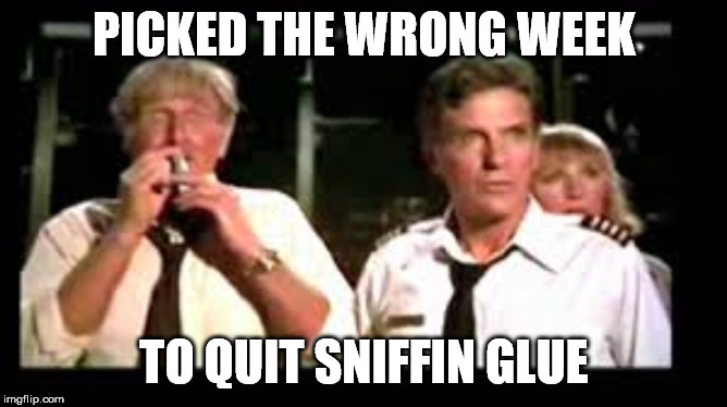 weedkiller safe | PICKED THE WRONG WEEK; TO QUIT SNIFFIN GLUE | image tagged in funny memes | made w/ Imgflip meme maker