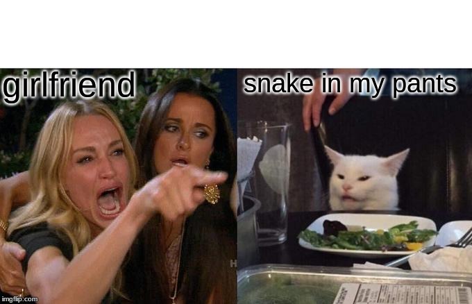 Woman Yelling At Cat Meme | girlfriend; snake in my pants | image tagged in memes,woman yelling at cat | made w/ Imgflip meme maker
