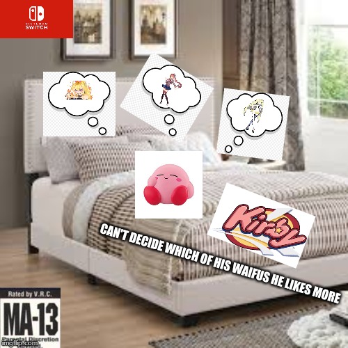 more kirby games | CAN'T DECIDE WHICH OF HIS WAIFUS HE LIKES MORE | image tagged in nintendo switch | made w/ Imgflip meme maker