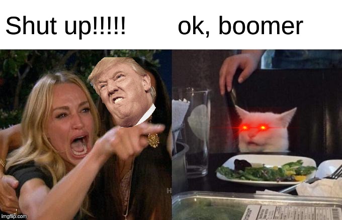 Woman Yelling At Cat | Shut up!!!!! ok, boomer | image tagged in memes,woman yelling at cat | made w/ Imgflip meme maker