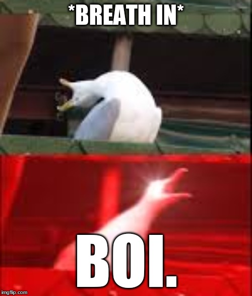 *BREATH IN*; BOI. | image tagged in inhaling seagull | made w/ Imgflip meme maker