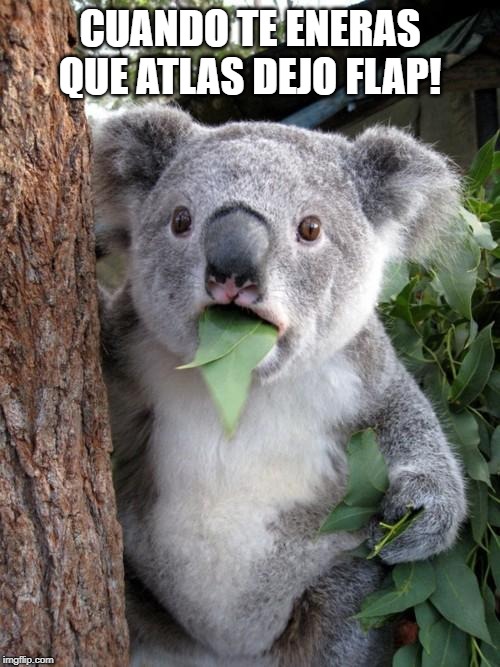 Surprised Koala Meme | CUANDO TE ENERAS QUE ATLAS DEJO FLAP! | image tagged in memes,surprised koala | made w/ Imgflip meme maker