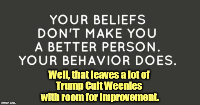 Well, that leaves a lot of 
Trump Cult Weenies 
with room for improvement. | image tagged in trump,trump cult weenies,behavior,belief,better | made w/ Imgflip meme maker