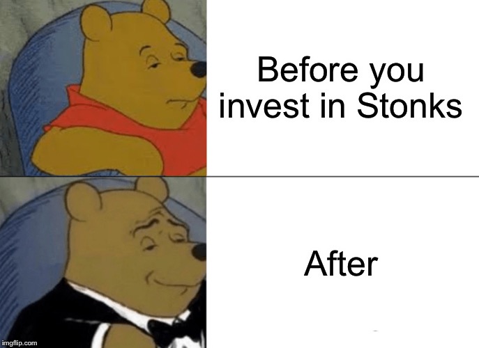 Tuxedo Winnie The Pooh | Before you invest in Stonks; After | image tagged in memes,tuxedo winnie the pooh | made w/ Imgflip meme maker