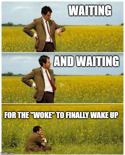 Mr. Bean Waiting  | WAITING; AND WAITING; FOR THE "WOKE" TO FINALLY WAKE UP | image tagged in mr bean waiting | made w/ Imgflip meme maker