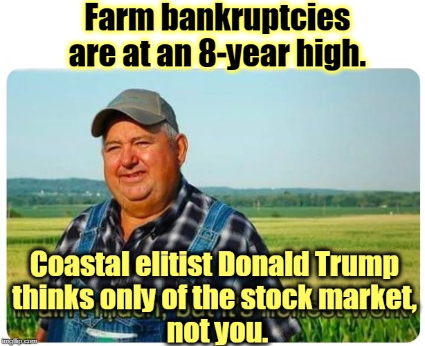 Trump doesn't mind bankruptcies. He's proud of his. You might feel differently. | Farm bankruptcies are at an 8-year high. Coastal elitist Donald Trump 
thinks only of the stock market, 
not you. | image tagged in honest work,trump,farm,bankruptcy,economy | made w/ Imgflip meme maker