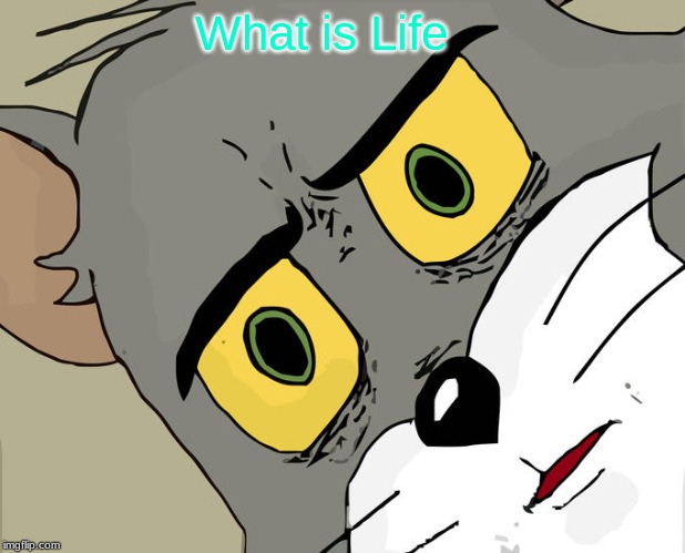 Unsettled Tom Meme | What is Life | image tagged in memes,unsettled tom | made w/ Imgflip meme maker
