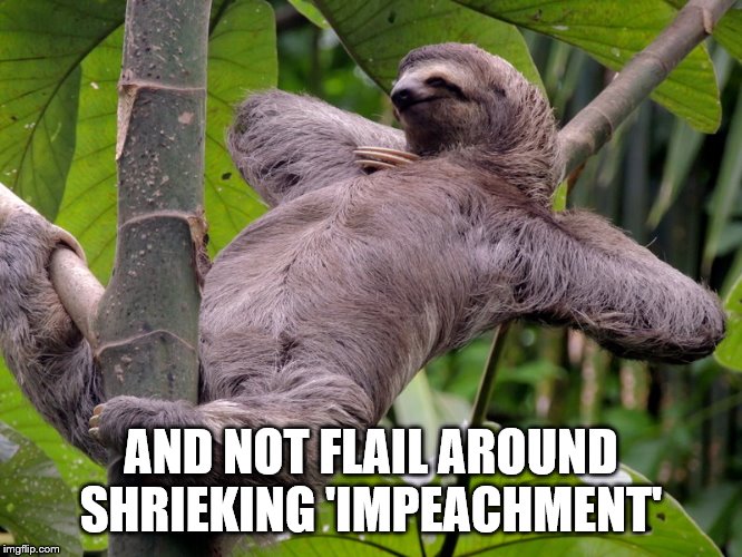 Lazy Sloth | AND NOT FLAIL AROUND SHRIEKING 'IMPEACHMENT' | image tagged in lazy sloth | made w/ Imgflip meme maker