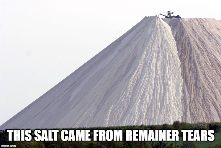 Salty | THIS SALT CAME FROM REMAINER TEARS | image tagged in salty | made w/ Imgflip meme maker