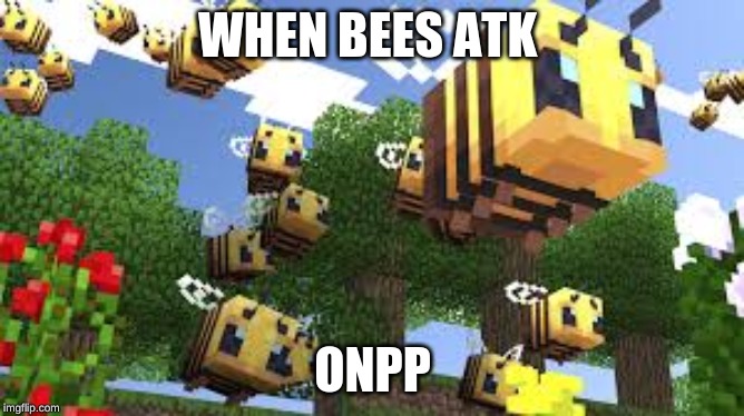 WHEN BEES ATK; ONPP | image tagged in minecraft | made w/ Imgflip meme maker