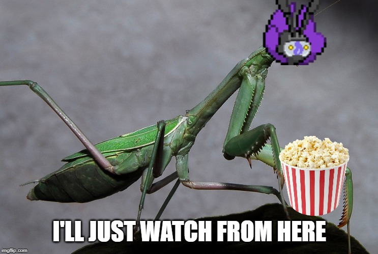 I'LL JUST WATCH FROM HERE | made w/ Imgflip meme maker