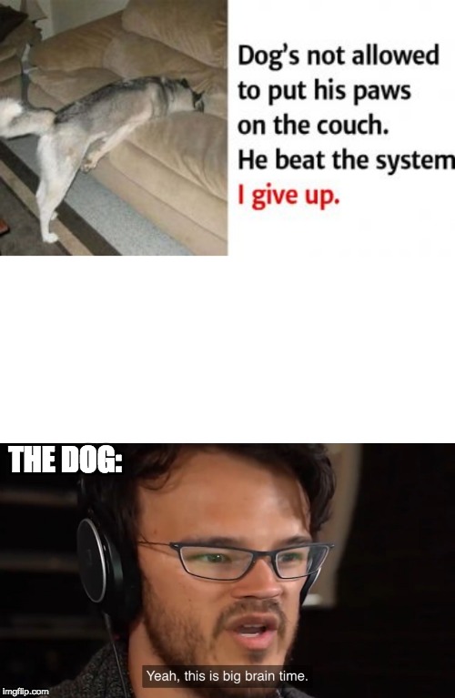 THE DOG: | image tagged in yeah this is big brain time | made w/ Imgflip meme maker