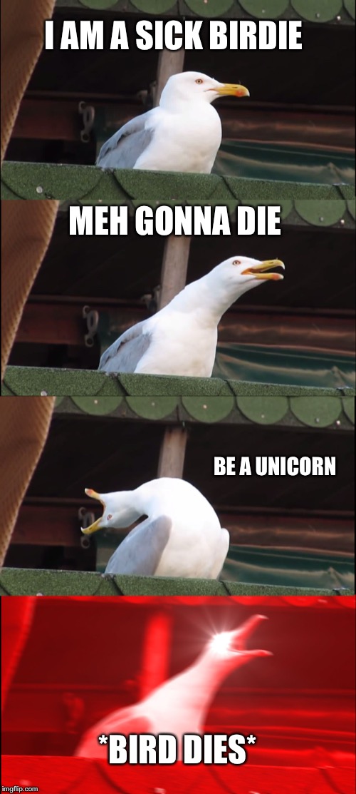 Inhaling Seagull Meme | I AM A SICK BIRDIE; MEH GONNA DIE; BE A UNICORN; *BIRD DIES* | image tagged in memes,inhaling seagull | made w/ Imgflip meme maker
