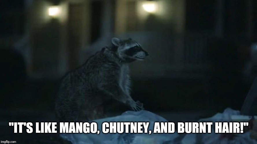 Geico Raccoon | "IT'S LIKE MANGO, CHUTNEY, AND BURNT HAIR!" | image tagged in geico raccoon | made w/ Imgflip meme maker