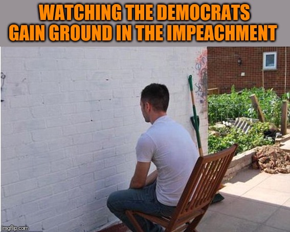 WATCHING THE DEMOCRATS GAIN GROUND IN THE IMPEACHMENT | image tagged in funny memes | made w/ Imgflip meme maker