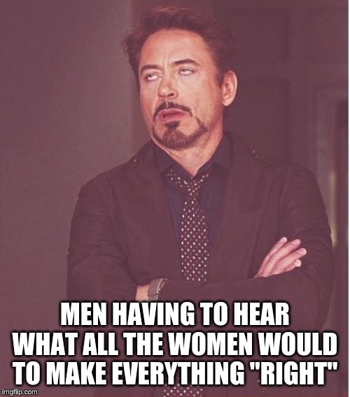 Face You Make Robert Downey Jr Meme | MEN HAVING TO HEAR WHAT ALL THE WOMEN WOULD TO MAKE EVERYTHING "RIGHT" | image tagged in memes,face you make robert downey jr | made w/ Imgflip meme maker