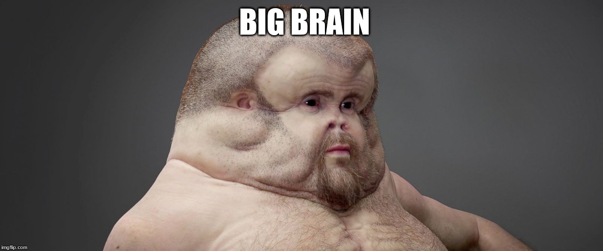 Big Head Todd | BIG BRAIN | image tagged in big head todd | made w/ Imgflip meme maker