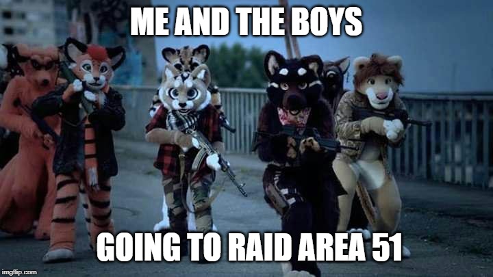 Furry Army | ME AND THE BOYS; GOING TO RAID AREA 51 | image tagged in furry army | made w/ Imgflip meme maker