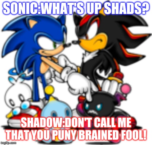 SONIC:WHAT'S UP SHADS? SHADOW:DON'T CALL ME THAT YOU PUNY BRAINED FOOL! | image tagged in argument | made w/ Imgflip meme maker